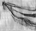 Left Mouth